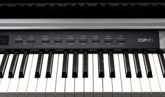 Kurzweil CUP P1 Siyah Lake Dijital Piyano