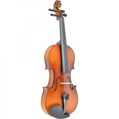 Rosa RV044M 4/4 Mat Cilalı Keman
